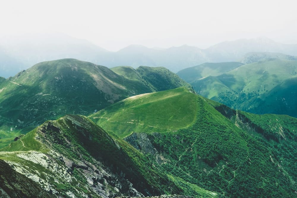 Chloe Kim's Cover Image